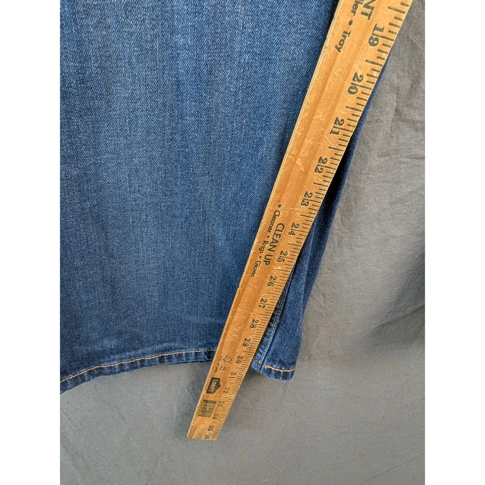 Levis levis 569